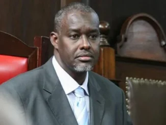 justice mohamed warsame biography