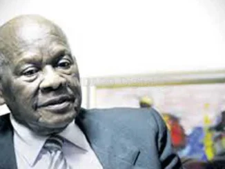 Maina Wanjigi Biography