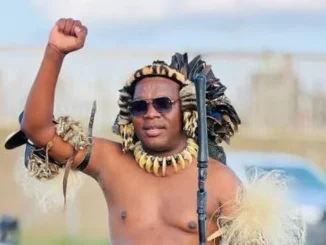 Ngizwe Mchunu Biography
