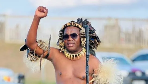 Ngizwe Mchunu Biography