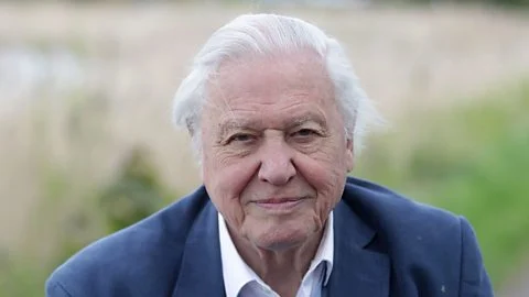 david attenborough biography