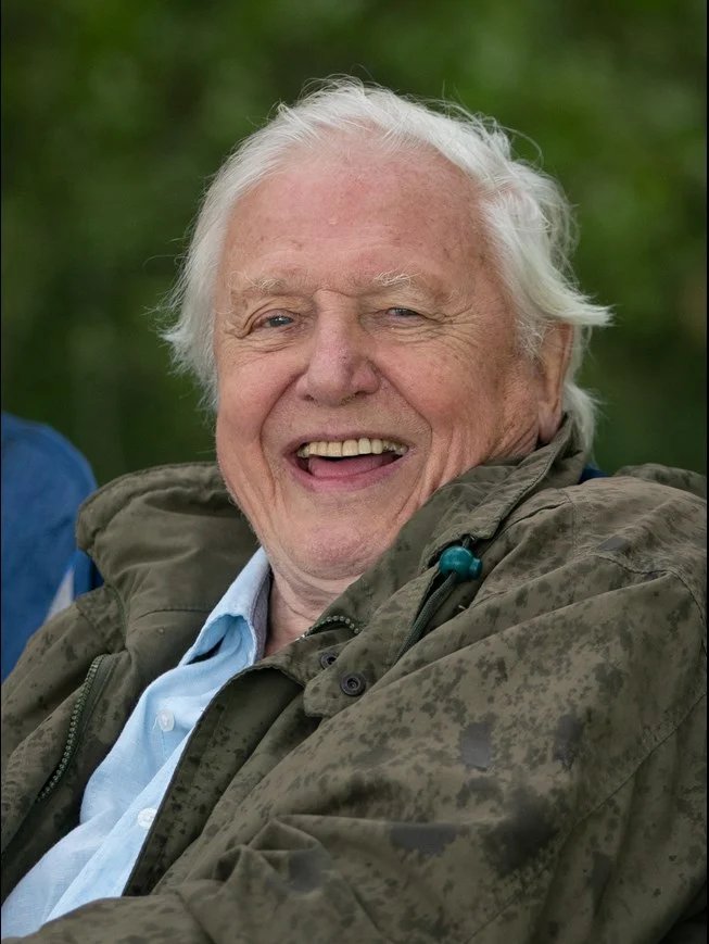 David Attenborough Biography: Siblings, Age, Wife, Net Worth, Documentaries - Biography