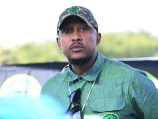 nhlamulo ndhlela biography