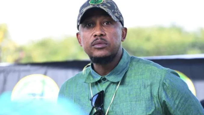 nhlamulo ndhlela biography