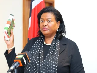 njoki ndungu biography