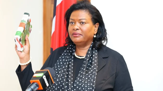 njoki ndungu biography